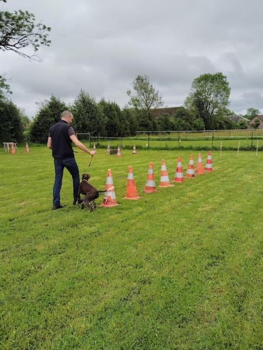 Gite Au Ptit Canin Moyenneville  Bagian luar foto